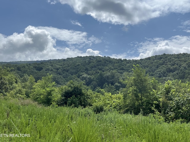 442 Billingsley Rd, Dunlap, TN 37327 - photo 4