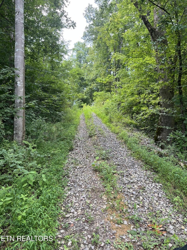 442 Billingsley Rd, Dunlap, TN 37327 - photo 2
