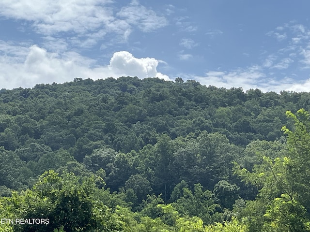 442 Billingsley Rd, Dunlap, TN 37327 - photo 8
