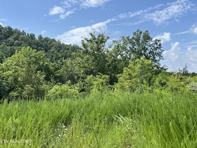 442 Billingsley Rd, Dunlap, TN 37327 - photo 6