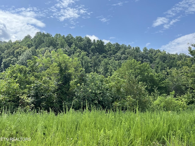 442 Billingsley Rd, Dunlap, TN 37327 - photo 7