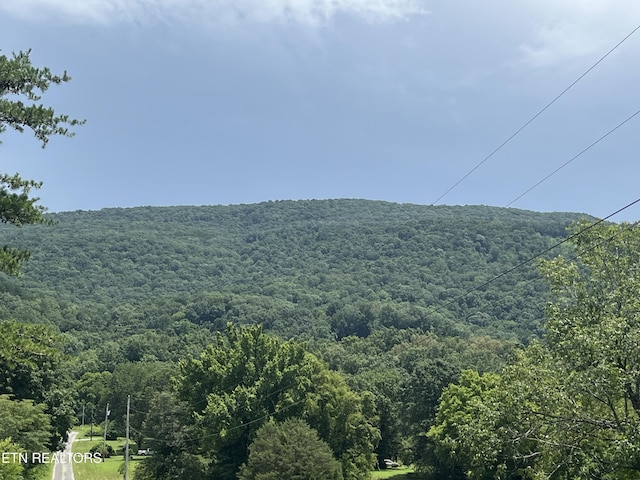 442 Billingsley Rd, Dunlap, TN 37327 - photo 9