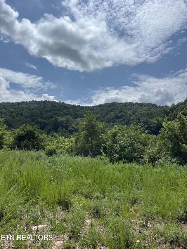 442 Billingsley Rd, Dunlap, TN 37327 - photo 3