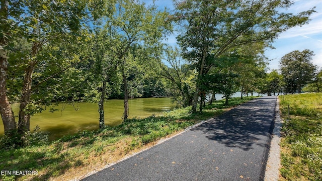3829 Gravelly Hills Rd, Louisville, TN 37777 - photo 14