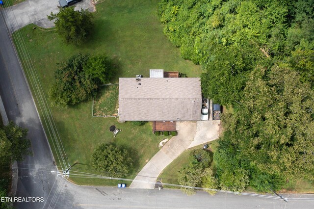502 Crestwood Dr, Clinton, TN 37716 - photo 19