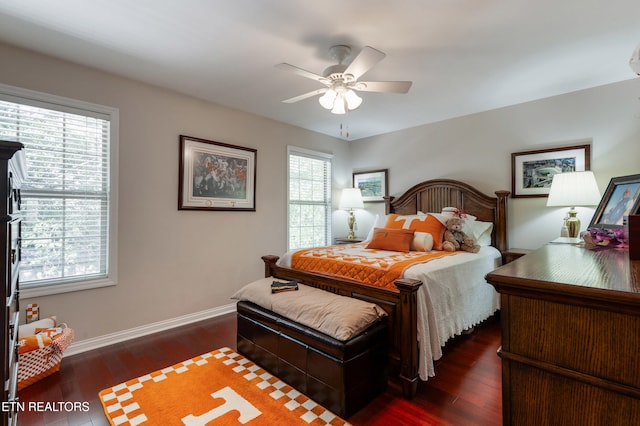 614 Chapel Point Ln, Knoxville, TN 37934 - bedroom with multiple windows, dark wood finished floors, and a ceiling fan