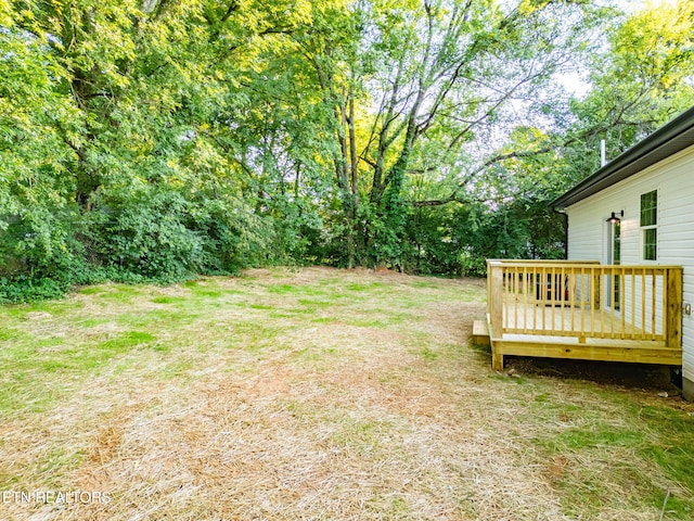 810 SW Spring Dr, Knoxville, TN 37920 - photo 32