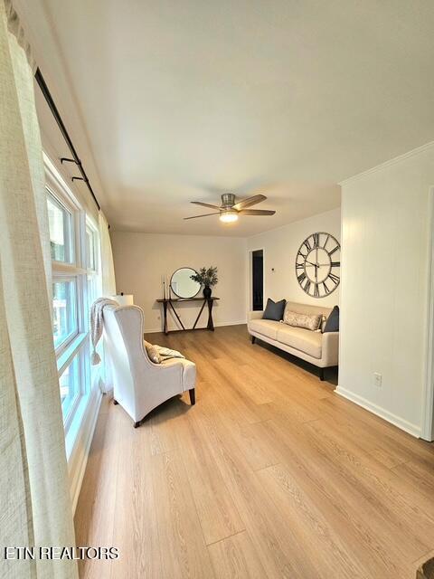 309 Devaney Ln, Oliver Springs, TN 37840 - photo 10