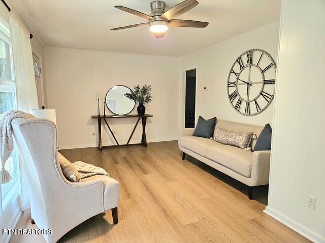 309 Devaney Ln, Oliver Springs, TN 37840 - photo 12