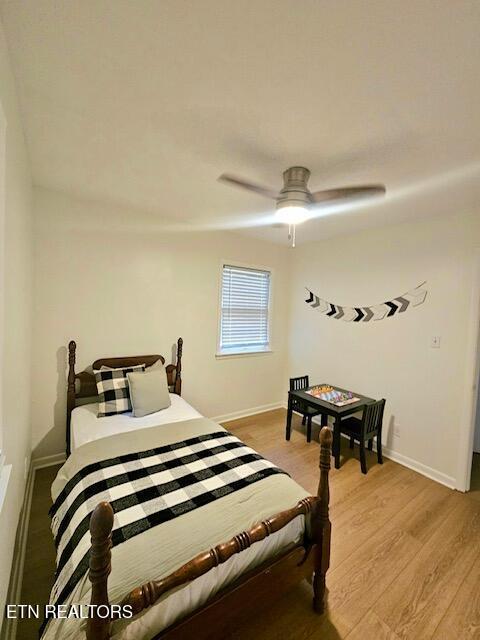 309 Devaney Ln, Oliver Springs, TN 37840 - photo 17