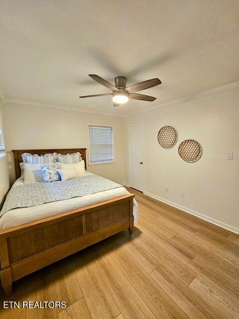 309 Devaney Ln, Oliver Springs, TN 37840 - photo 16
