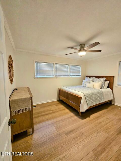 309 Devaney Ln, Oliver Springs, TN 37840 - photo 15
