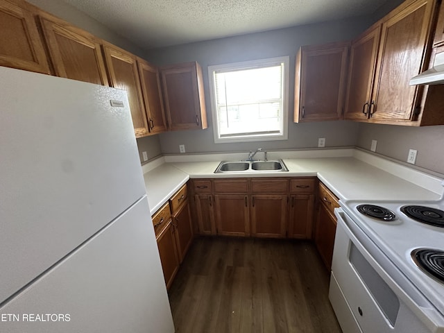 382 W Monticello Pike, Huntsville, TN 37756 - kitchen featuring white appliances, dark wood finished floors, brown cabinets, light countertops, and exhaust hood