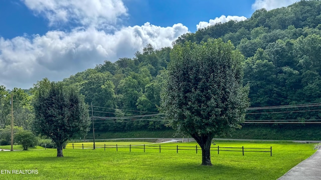 212 Granite Rd, Clinton, TN 37716 - photo 3