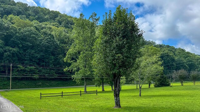212 Granite Rd, Clinton, TN 37716 - photo 4