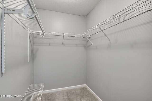 1853 Tillery Square Ln, Knoxville, TN 37912 - photo 26