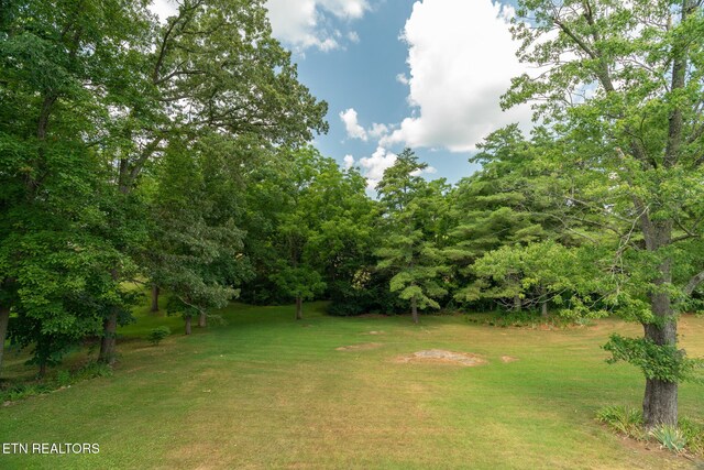 296 Fuller Estate Cir, Morristown, TN 37813 - photo 31