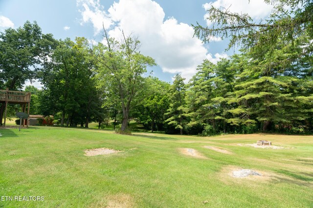 296 Fuller Estate Cir, Morristown, TN 37813 - photo 38