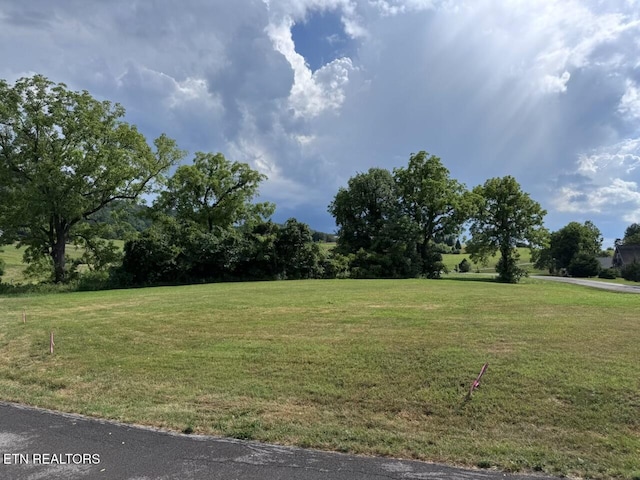 210 Edith Ln, Sharps Chapel, TN 37866 - photo 1