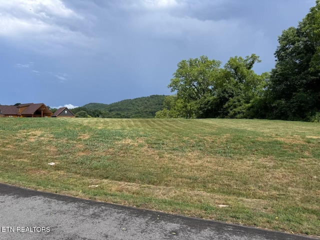 210 Edith Ln, Sharps Chapel, TN 37866 - photo 2