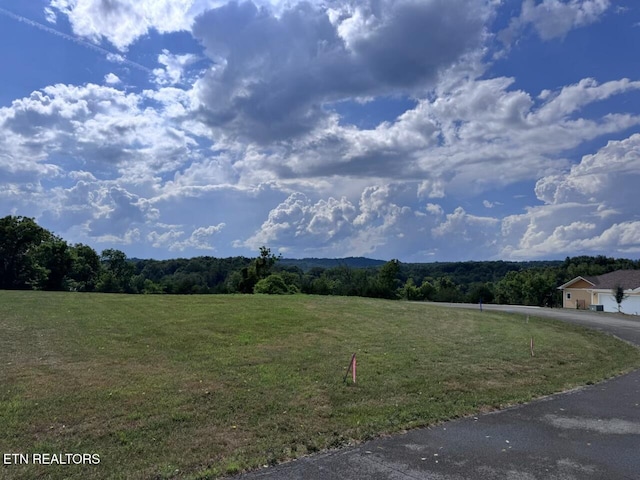 210 Edith Ln, Sharps Chapel, TN 37866 - photo 3