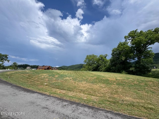 210 Edith Ln, Sharps Chapel, TN 37866 - photo 5