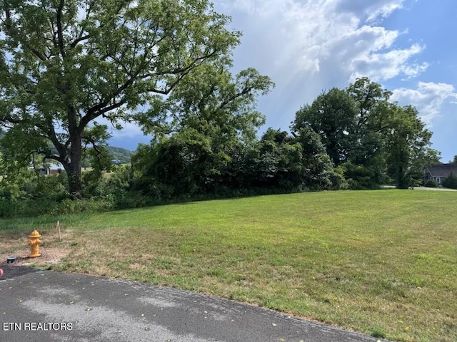 210 Edith Ln, Sharps Chapel, TN 37866 - photo 6