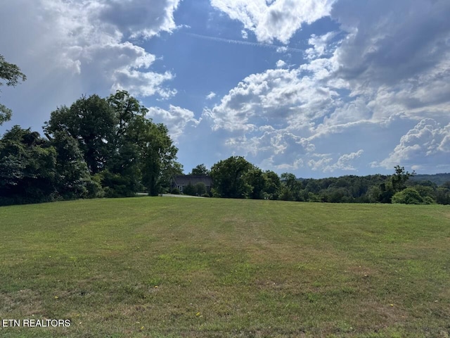 210 Edith Ln, Sharps Chapel, TN 37866 - photo 8