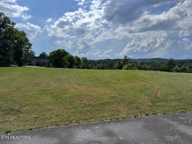 210 Edith Ln, Sharps Chapel, TN 37866 - photo 10