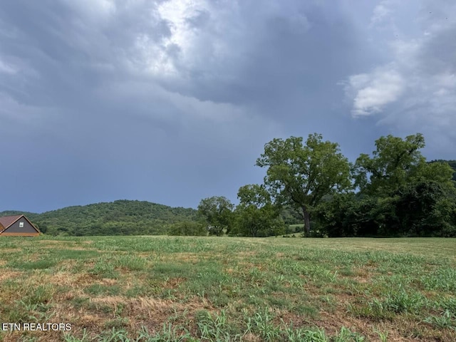 210 Edith Ln, Sharps Chapel, TN 37866 - photo 11