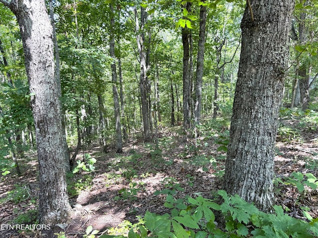 LOT36 Pecan Ln, Newport, TN 37821