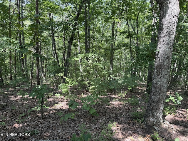 LOT36 Pecan Ln, Newport, TN 37821