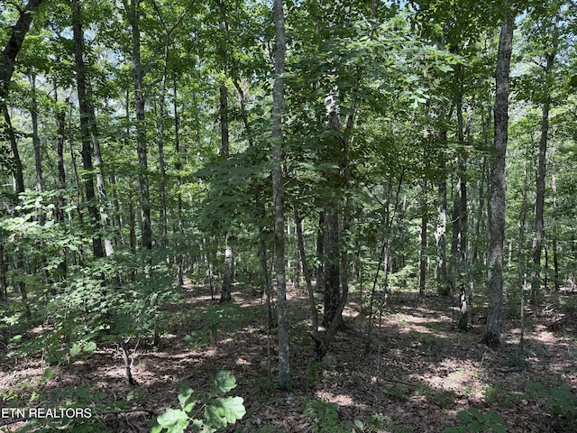 LOT36 Pecan Ln, Newport, TN 37821