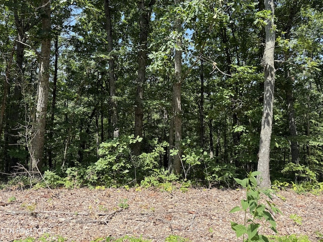 LOT36 Pecan Ln, Newport, TN 37821