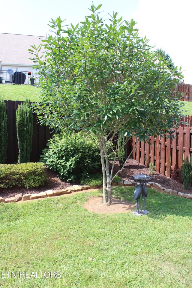 2825 Knob Creek Ln, Knoxville, TN 37912 - photo 6