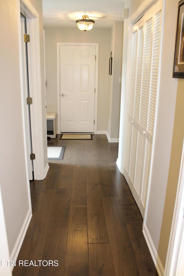 2825 Knob Creek Ln, Knoxville, TN 37912 - photo 28