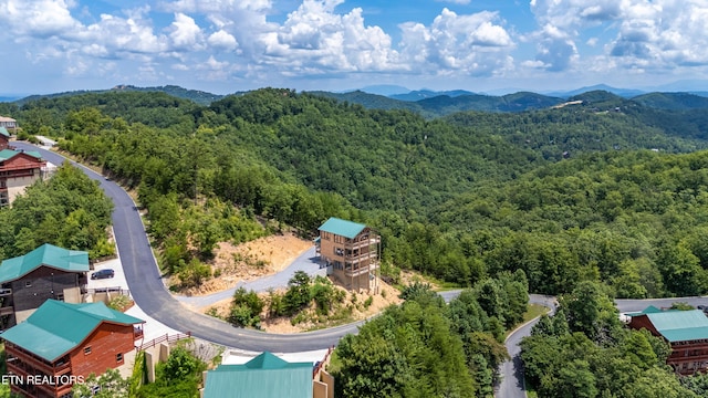 2412 Mountain Ridge Way, Sevierville, TN 37862 - photo 35