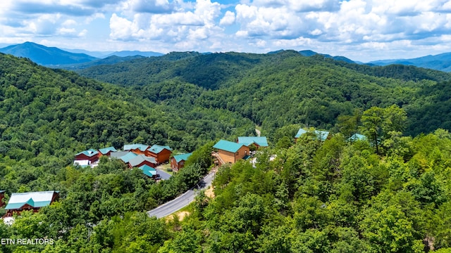 2412 Mountain Ridge Way, Sevierville, TN 37862 - photo 36