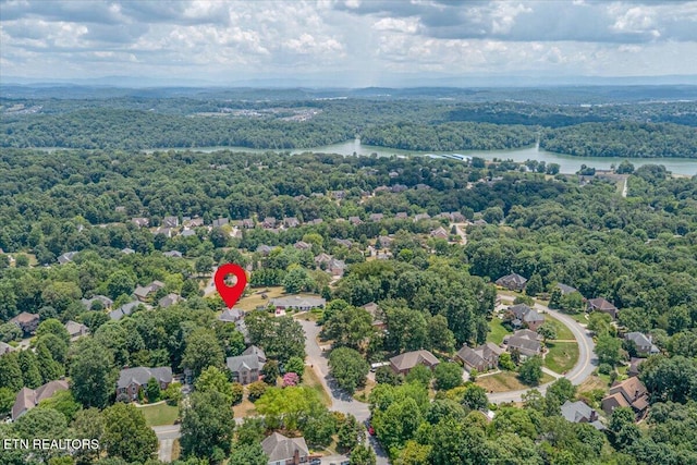 10601 Wood Oak Ct, Knoxville, TN 37922 - photo 39