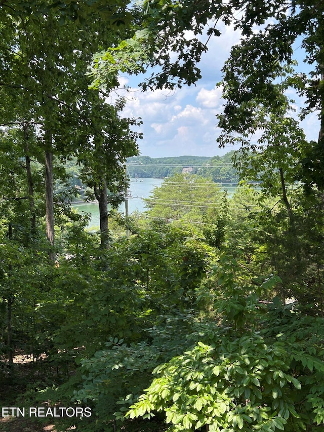 125 Chanusi Way, Loudon, TN 37774 - photo 2