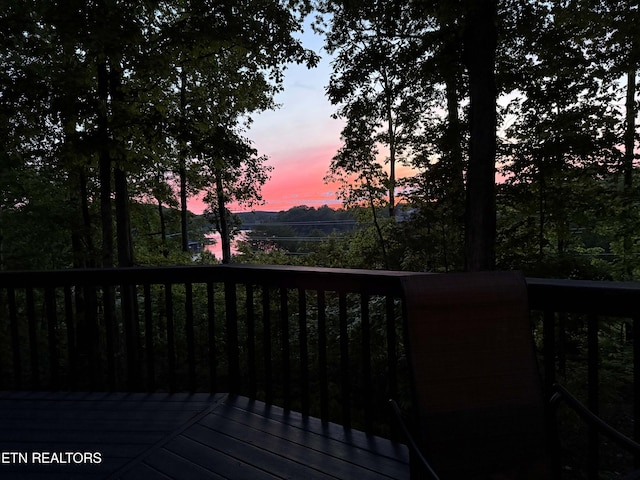 125 Chanusi Way, Loudon, TN 37774 - photo 3