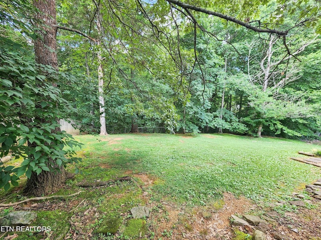 7324 Foxhaven Rd, Knoxville, TN 37918 - photo 5
