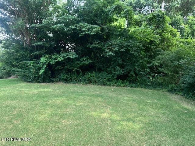 3039 N Hills Blvd, Knoxville, TN 37917 - photo 4