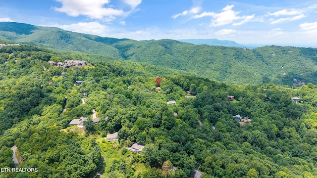 1318 Garrett Dr, Gatlinburg, TN 37738 - photo 30