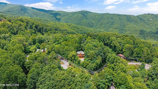 1318 Garrett Dr, Gatlinburg, TN 37738 - photo 31