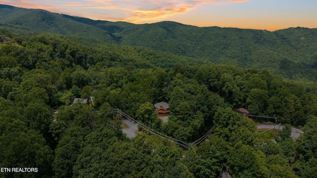 1318 Garrett Dr, Gatlinburg, TN 37738 - photo 32