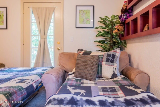 541 Johnson Ln Unit 2, Gatlinburg, TN 37738 - view of carpeted bedroom