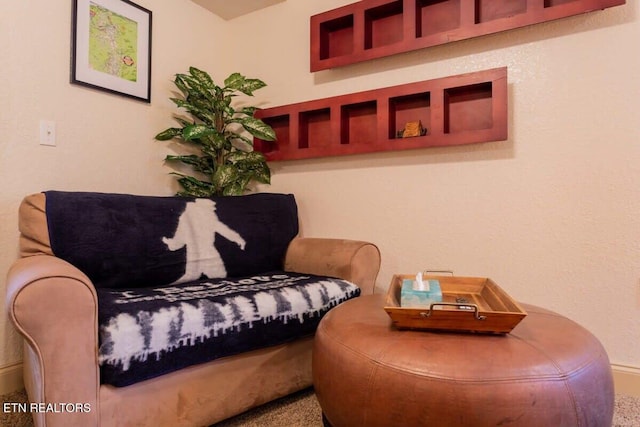 541 Johnson Ln Unit 2, Gatlinburg, TN 37738 - sitting room featuring carpet floors and baseboards
