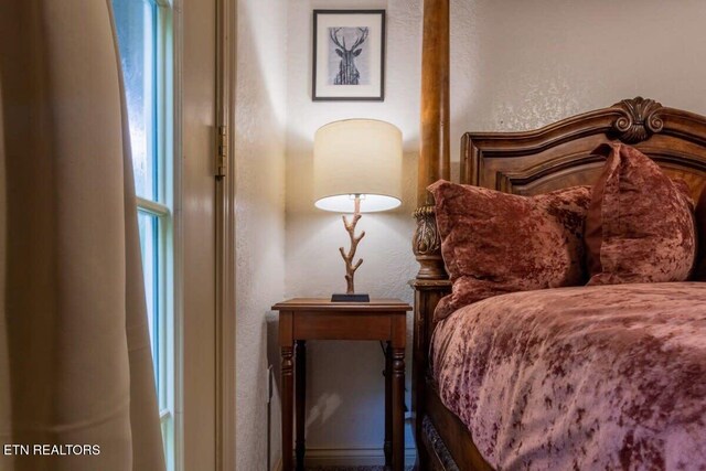 541 Johnson Ln Unit 2, Gatlinburg, TN 37738 - bedroom with a textured wall