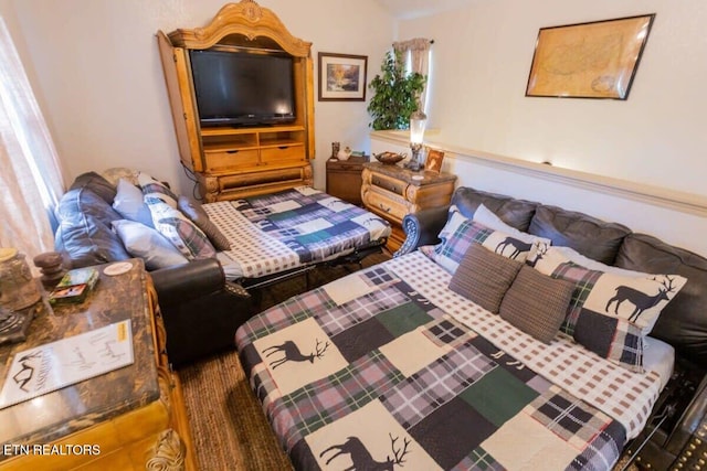 541 Johnson Ln Unit 2, Gatlinburg, TN 37738 - view of bedroom